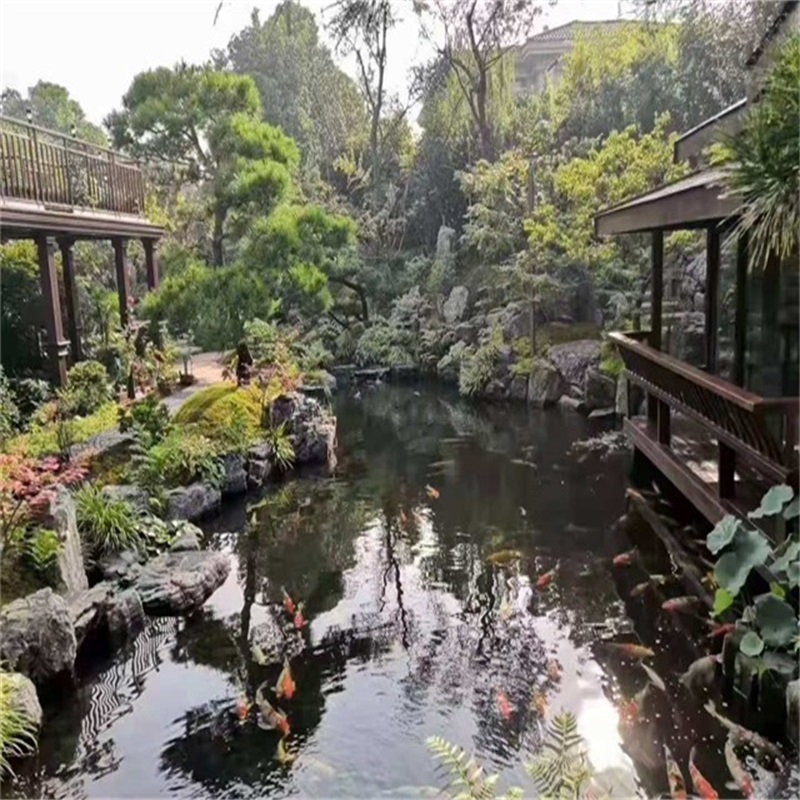 江汉小庭院假山鱼池